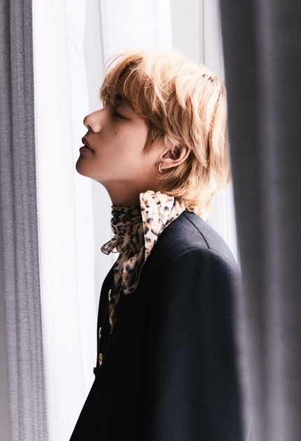 tae bellito